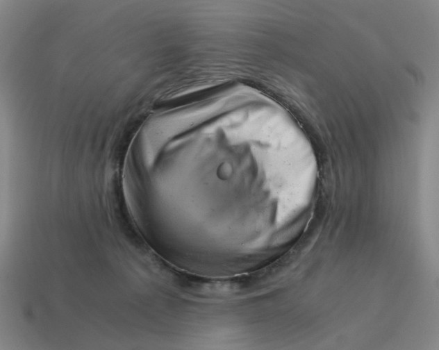 X0000114430225200911061649