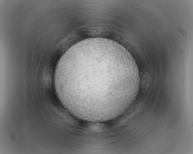X0000114430226200911061649