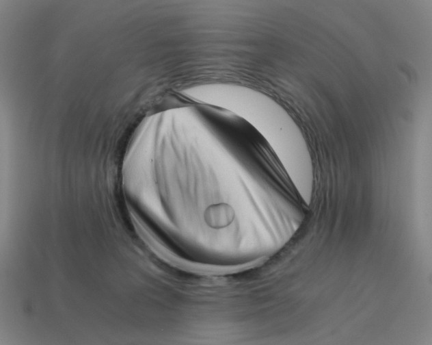 X0000114430227200911061649