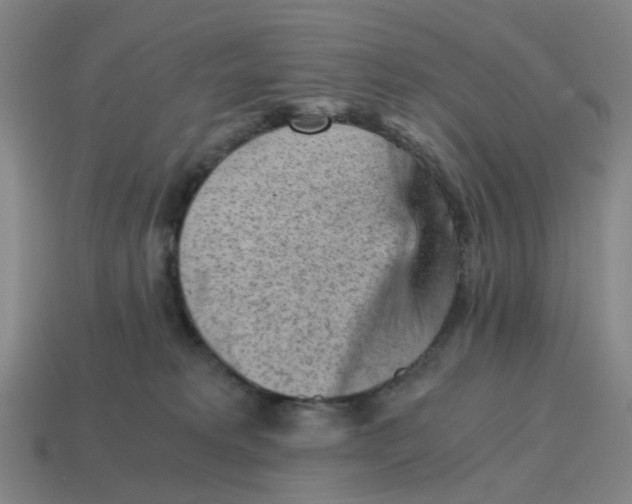 X0000114430229200911061649