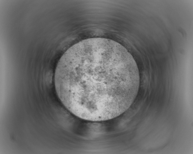 X0000114430230200911061649