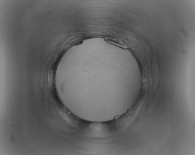 X0000114430231200911061649
