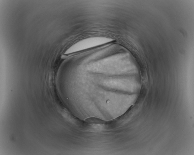 X0000114430233200911061649