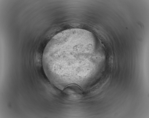 X0000114430234200911061649