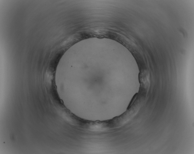 X0000114430235200911061649