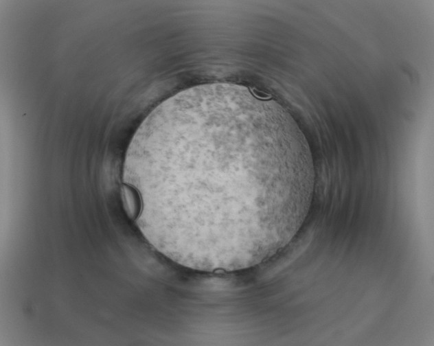 X0000114430236200911061649