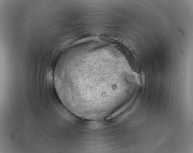 X0000114430238200911061649