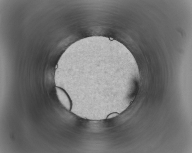 X0000114430240200911061649