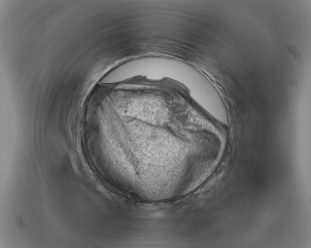 X0000114430241200911061649