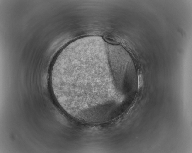 X0000114430243200911061649