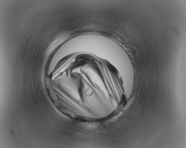 X0000114430245200911061649