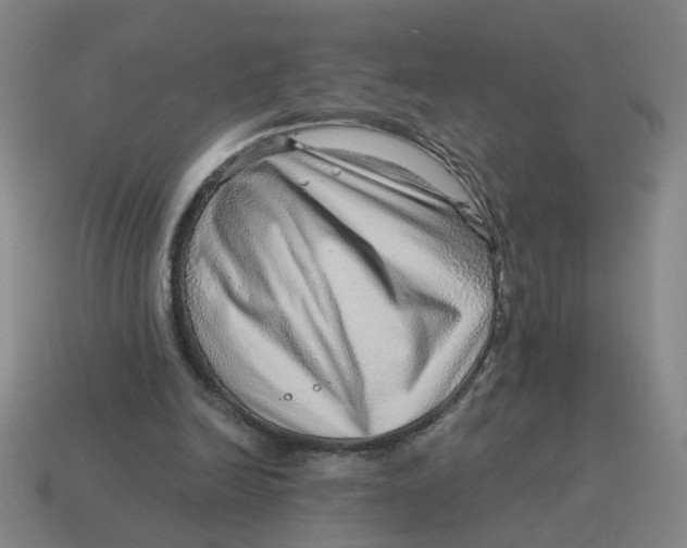 X0000114430246200911061649