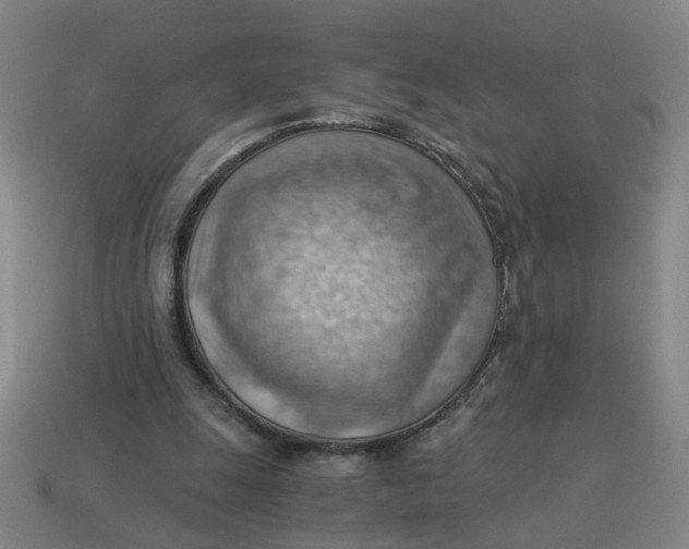 X0000114430247200911061649