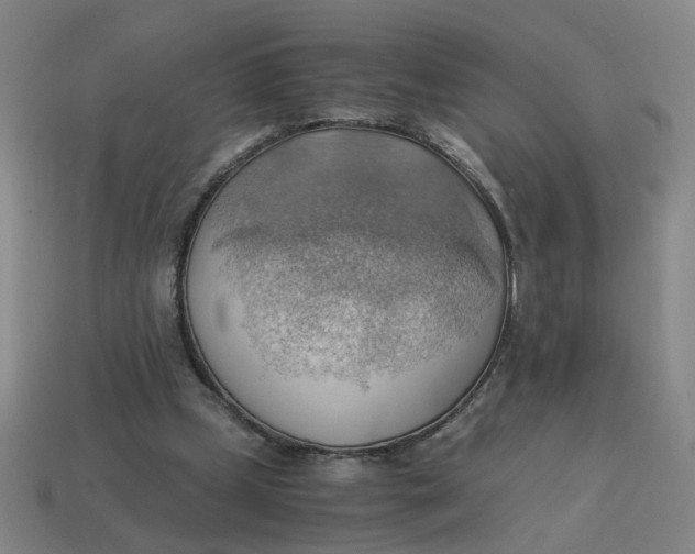 X0000114430249200911061649