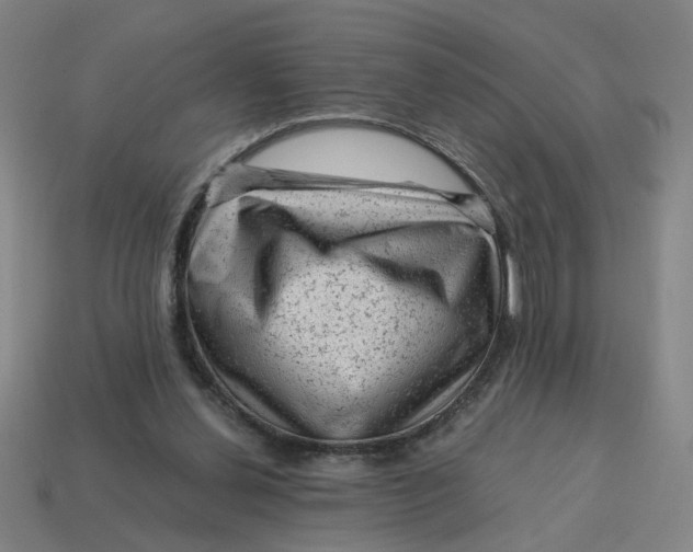 X0000114430252200911061649