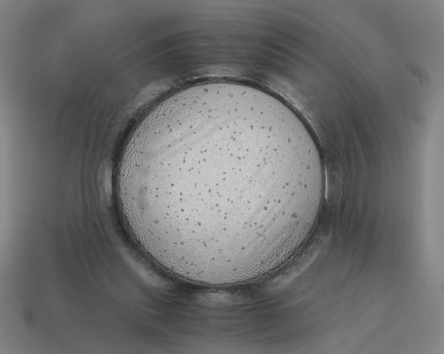 X0000114430253200911061649