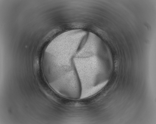 X0000114430254200911061649