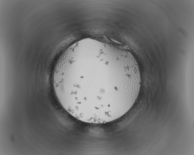 X0000114430258200911061649