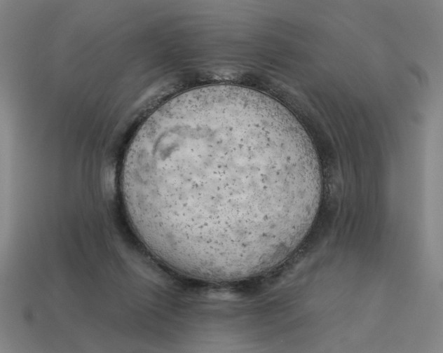 X0000114430262200911061649