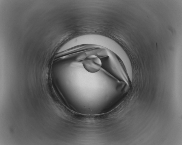 X0000114430264200911061649