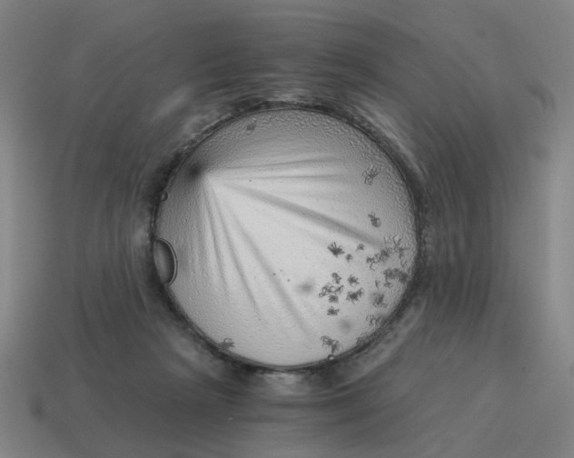 X0000114430265200911061649