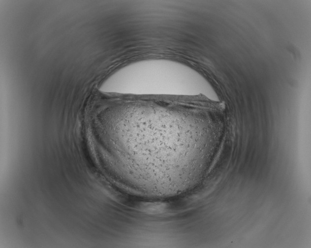 X0000114430266200911061649