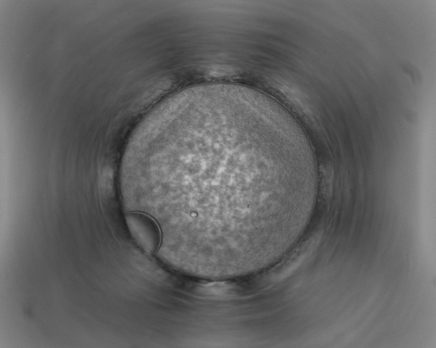 X0000114430269200911061649