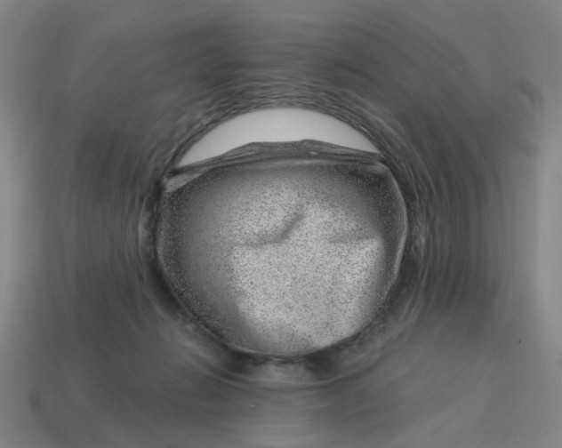 X0000114430270200911061649