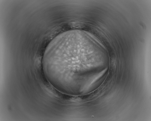 X0000114430271200911061649