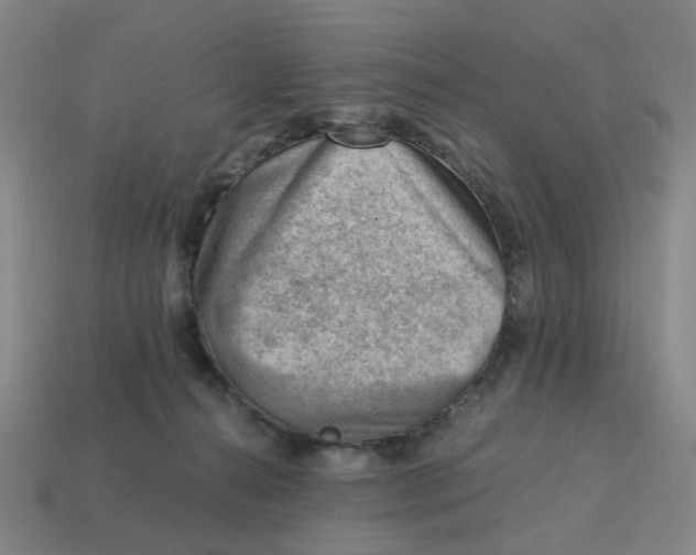X0000114430272200911061649