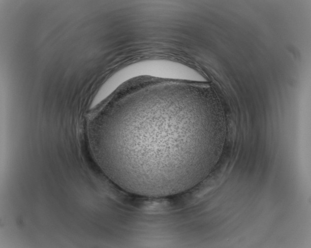 X0000114430274200911061649