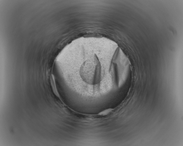 X0000114430276200911061649