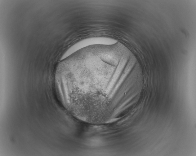 X0000114430277200911061649