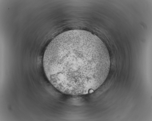 X0000114430278200911061649