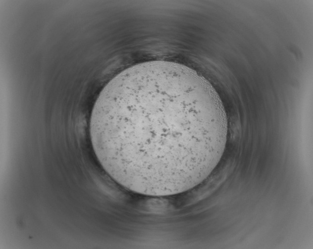 X0000114430279200911061649