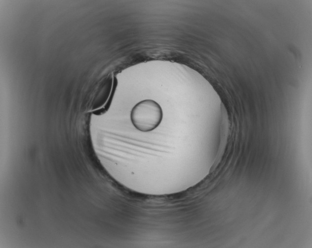 X0000114430280200911061649