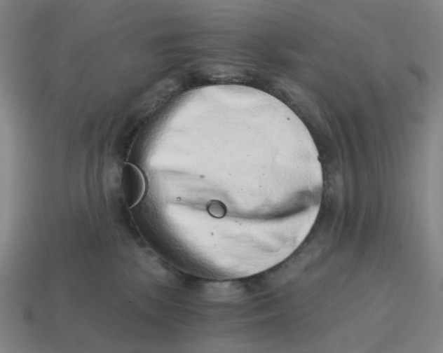 X0000114430281200911061649