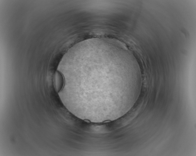 X0000114430283200911061649