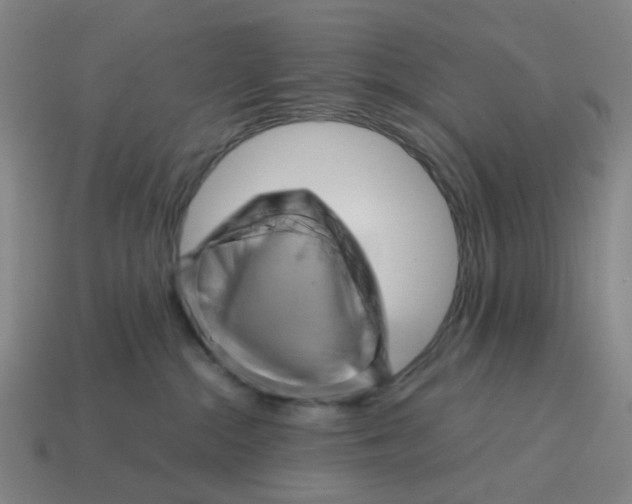 X0000114430284200911061649