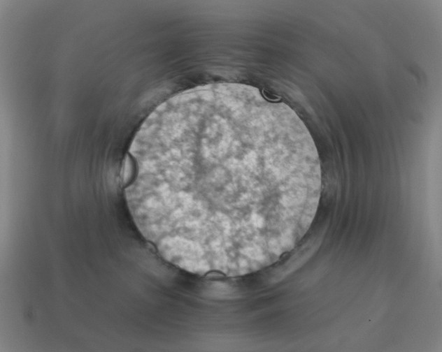 X0000114430285200911061649