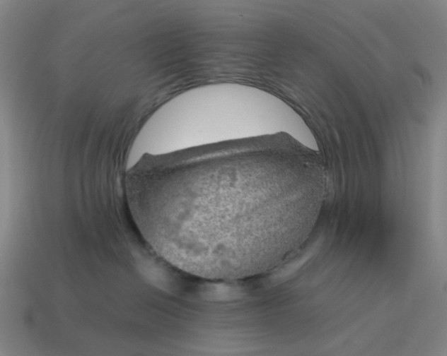 X0000114430286200911061649