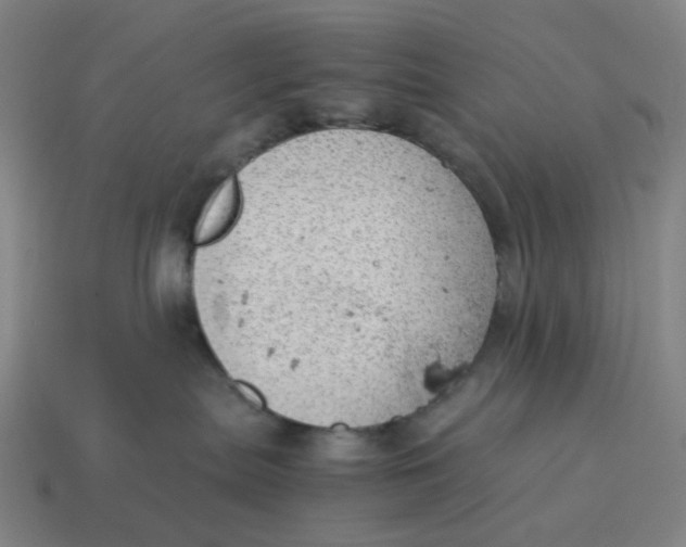 X0000114430287200911061649
