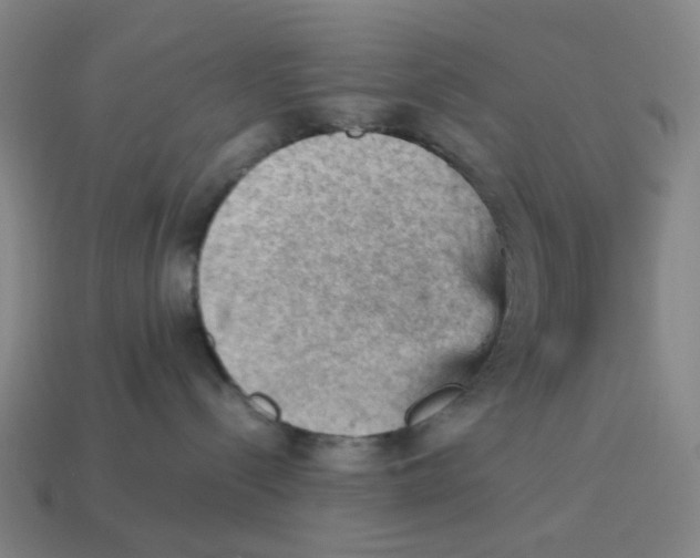 X0000114430288200911061649