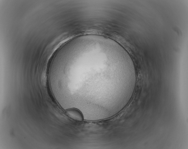 X0000114430290200911061649