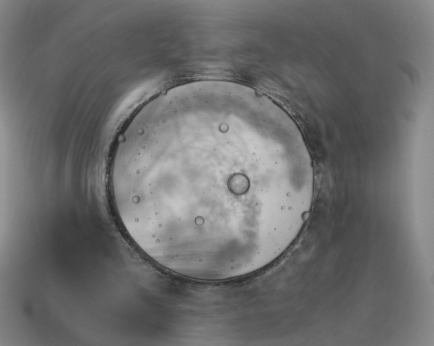 X0000114430293200911061648