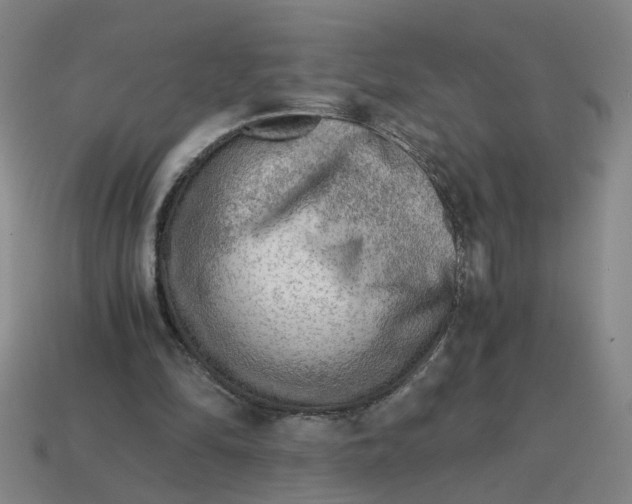 X0000114430294200911061648