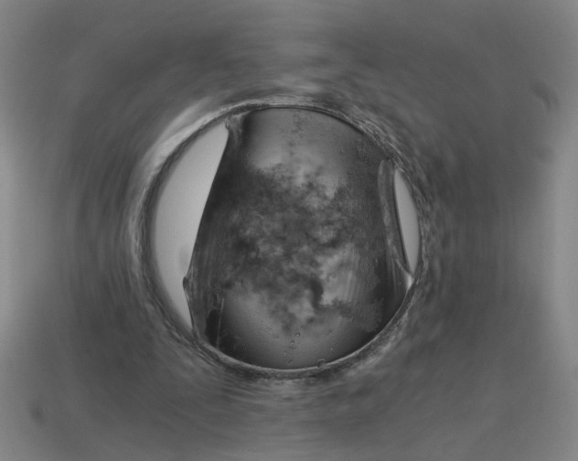X0000114430295200911061648