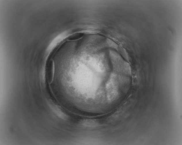 X0000114430296200911061648