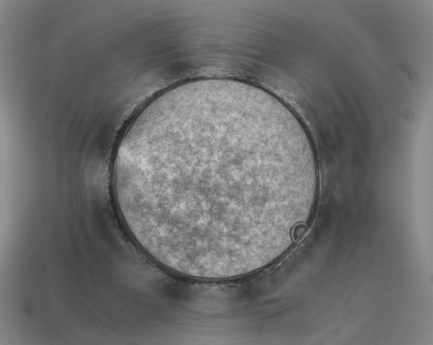 X0000114430297200911061648