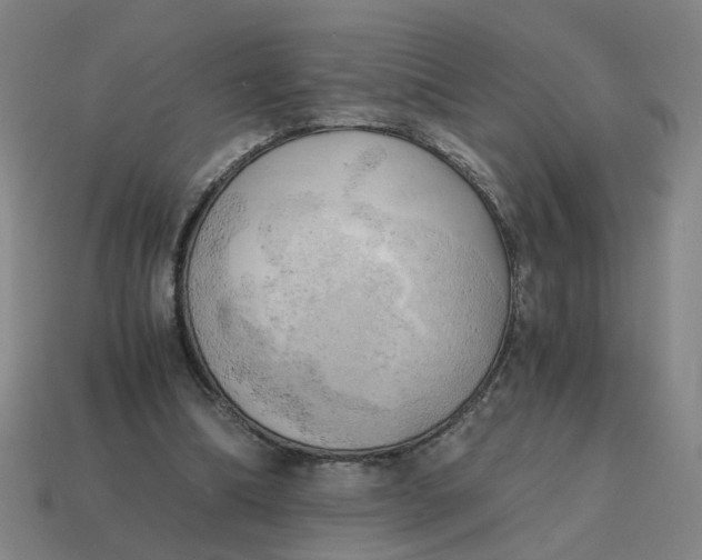 X0000114430298200911061648